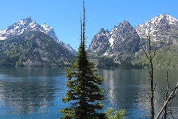 Jenny Lake