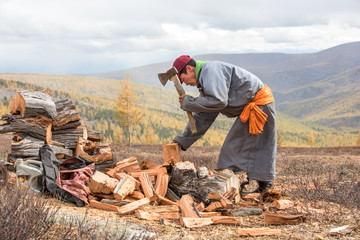 Young Mongolian man axing firewood.