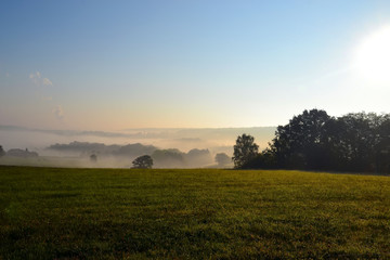 Brume sur campagne