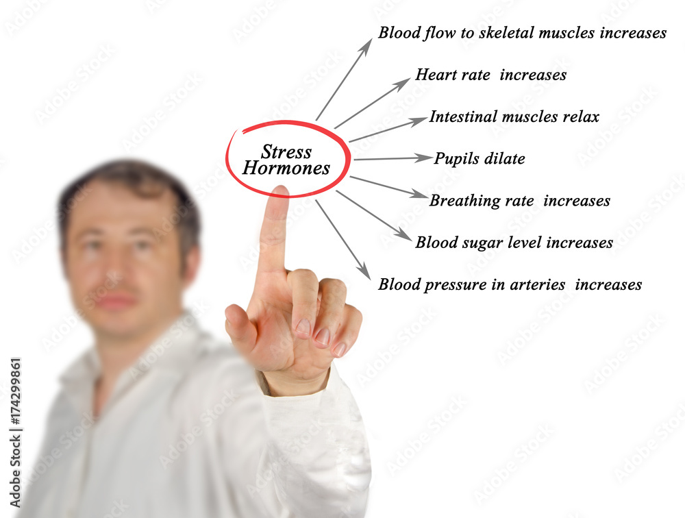 Sticker Stress Hormones