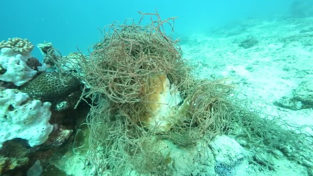 Piece of old fishing net tangled around coral head on ocean floor at Derawan Island, Kalimantan 