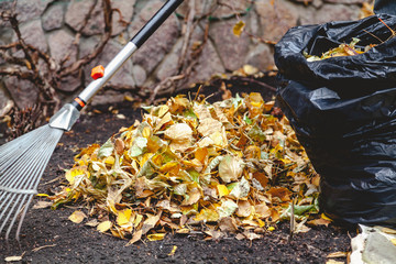 rolling rakes collect fallen leaves in big pile