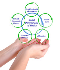 Social Determinants of Health