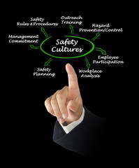 Safety Culture
