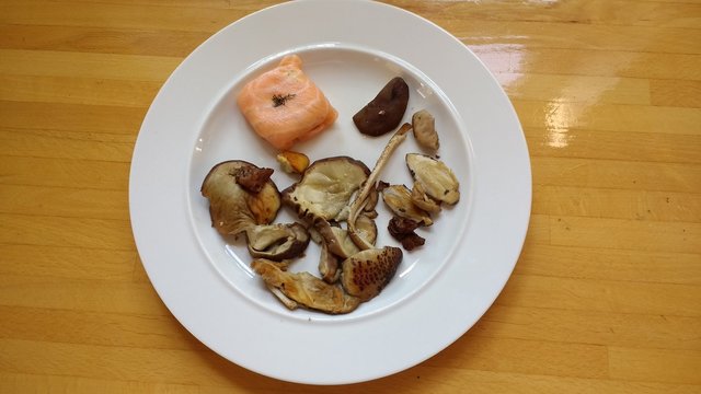A white plate of freshly cooked and picked foraged wild mushrooms parasol puffball and chanterell with a cube of slamon with mousse against a wood surface