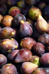Harvest of figs