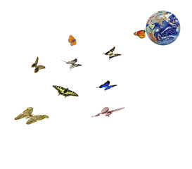 Butterfly flying to planet Earth.Elements of this image furnished by NASA
