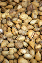 A lot of raw almonds