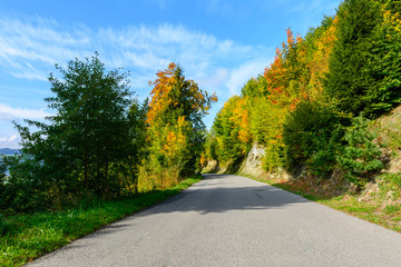 Fototapeta na wymiar Strasse im Herbst durch farbigen Wald