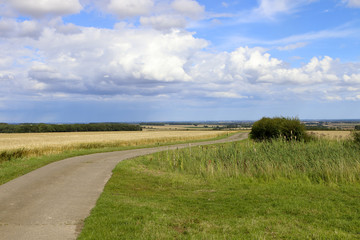 minster way bridleway