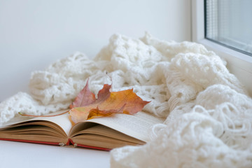 Autumn mood. Cup of coffee, books, blanket and yellow leaves, top view. Toned photo. old vintage book, the concept of learning, self-development, hygge style, comfort concept