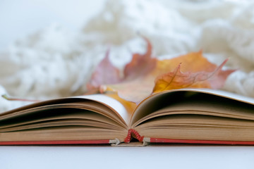 Autumn mood. Cup of coffee, books, blanket and yellow leaves, top view. Toned photo. old vintage book, the concept of learning, self-development, hygge style, comfort concept