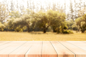 Empty wooden table for present product. Autumn season.