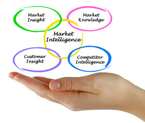 Market Intelligence