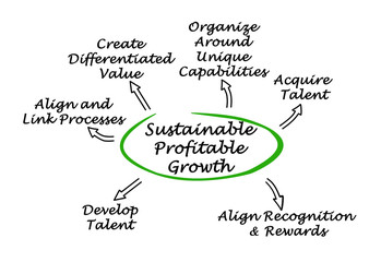 Sustainable Profitable Growth