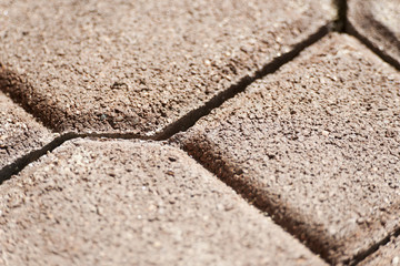 Fototapeta premium Modern paving stones near