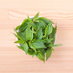 fresh nettle / Bowl with fresh nettle leaves