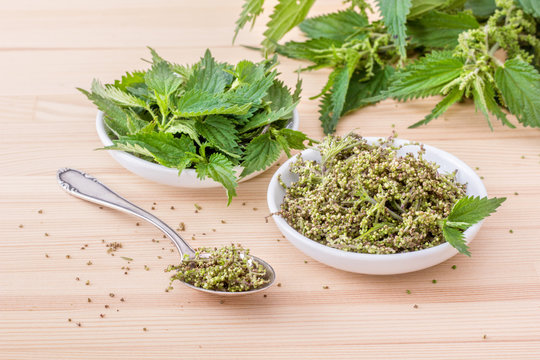 fresh Nettle seeds / Bowls with fresh Nettle seeds and nettle leaves