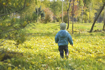 A child is walking in an autumn park