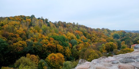 Beautiful view from upside to autumn forest under the grey sky.