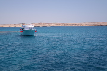 Ocean