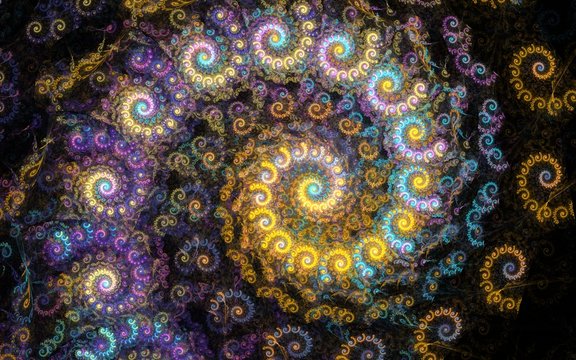 Fototapeta Nautilus fractal beauty