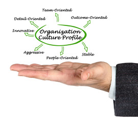 Organization Culture