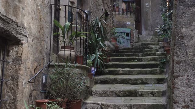italian entrance with the stone stairway and flower pots
