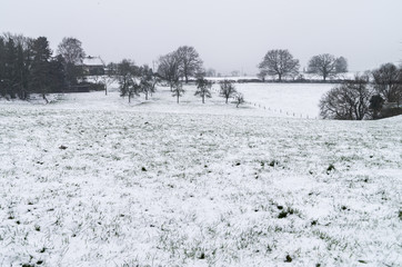 Winterlandschaft