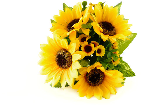 Closeup of a Sunflower Bouquet on White Background