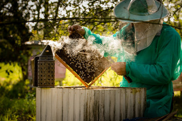 pszczelarz przy pracy