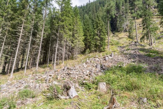 145 Best Muren Images Stock Photos Vectors Adobe Stock