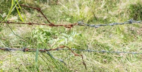 Rostiger Stacheldraht an einer Kuhweide, Österreich