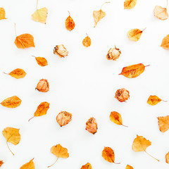 Autumn pattern. Frame made of autumn leaves and dry roses on white background. Flat lay, top view