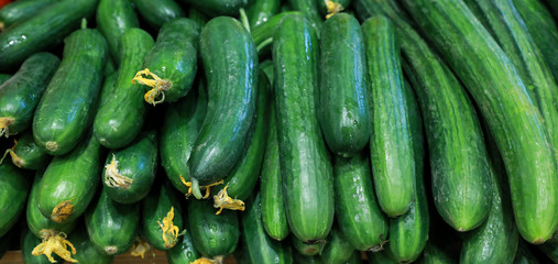 Fresh cucumbers in the greek grocery shop.
