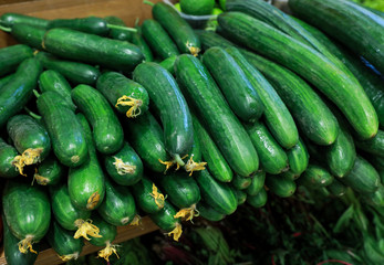 Fresh cucumbers in the greek grocery shop.