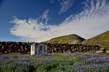 Alte Hütte bei Blönduos in Island