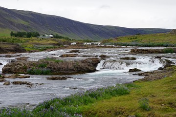 Naklejka na ściany i meble Landschaft am Hvalfjörður (Walfjord) in Islands Süd-Westen