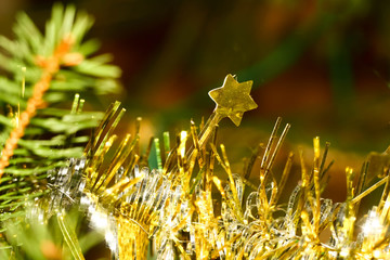 Photo of christmas tree in evening with lights on