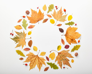 Autumn frame made of leaves on white background, copy space. Flat lay, top view.