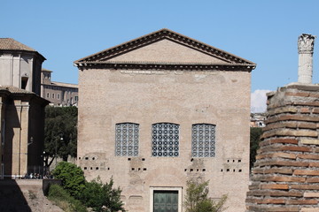 Roman Forum, Senate House