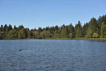 lake