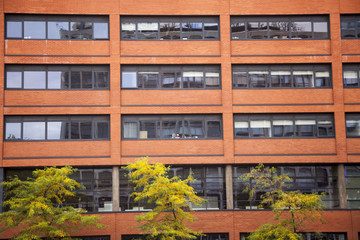 Old Red Brick Wall With