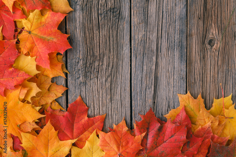 Sticker fall background with maple leaves on wood table