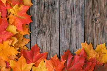 Naklejka na ściany i meble Fall background with maple leaves on wood table