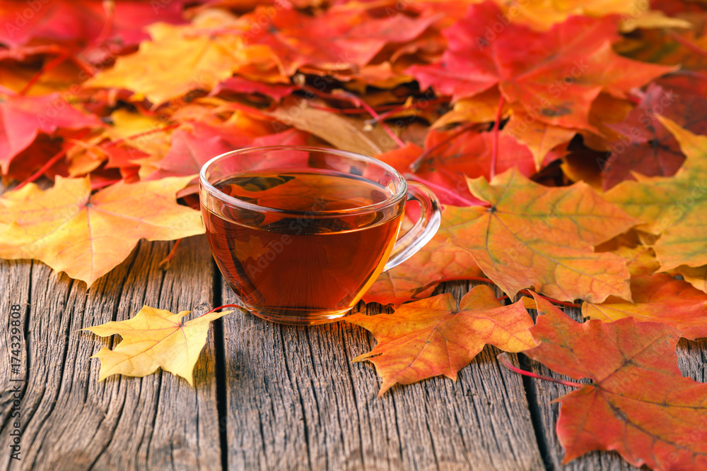 Wall mural relax time in fall season. red maple leaf on table