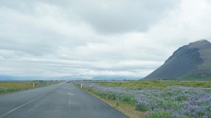 Landschaft am Hvalfjörður (Walfjord) in Islands Süd-Westen