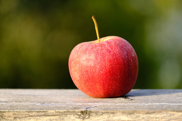 Schöner roter Apfel