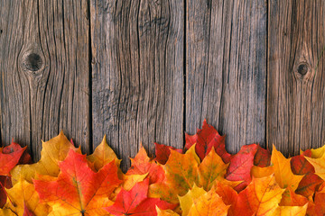 Naklejka na ściany i meble Creative background woth maple leaves