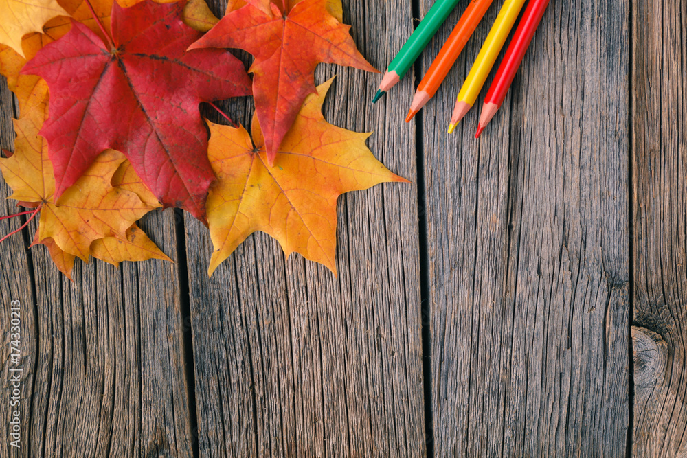 Canvas Prints art workplace in fall maple leaves.